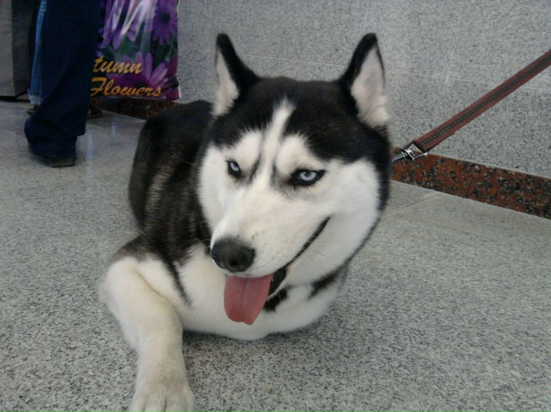 Евгений Козлов | Харьков