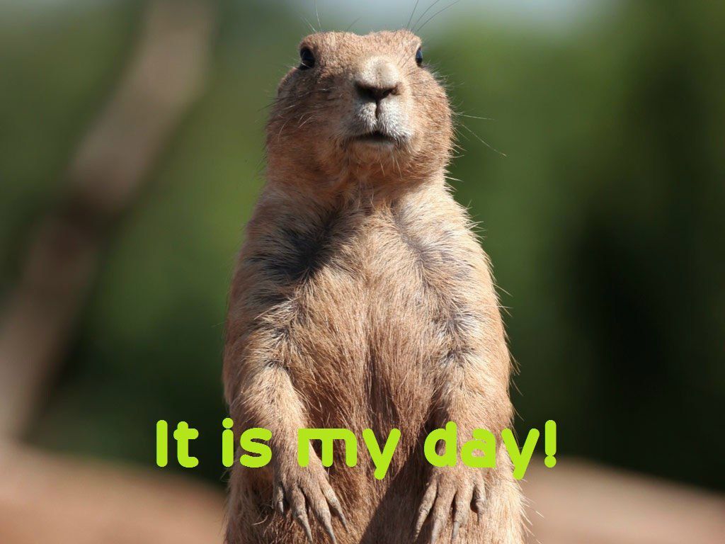 Daniel Kaygermazov | Москва