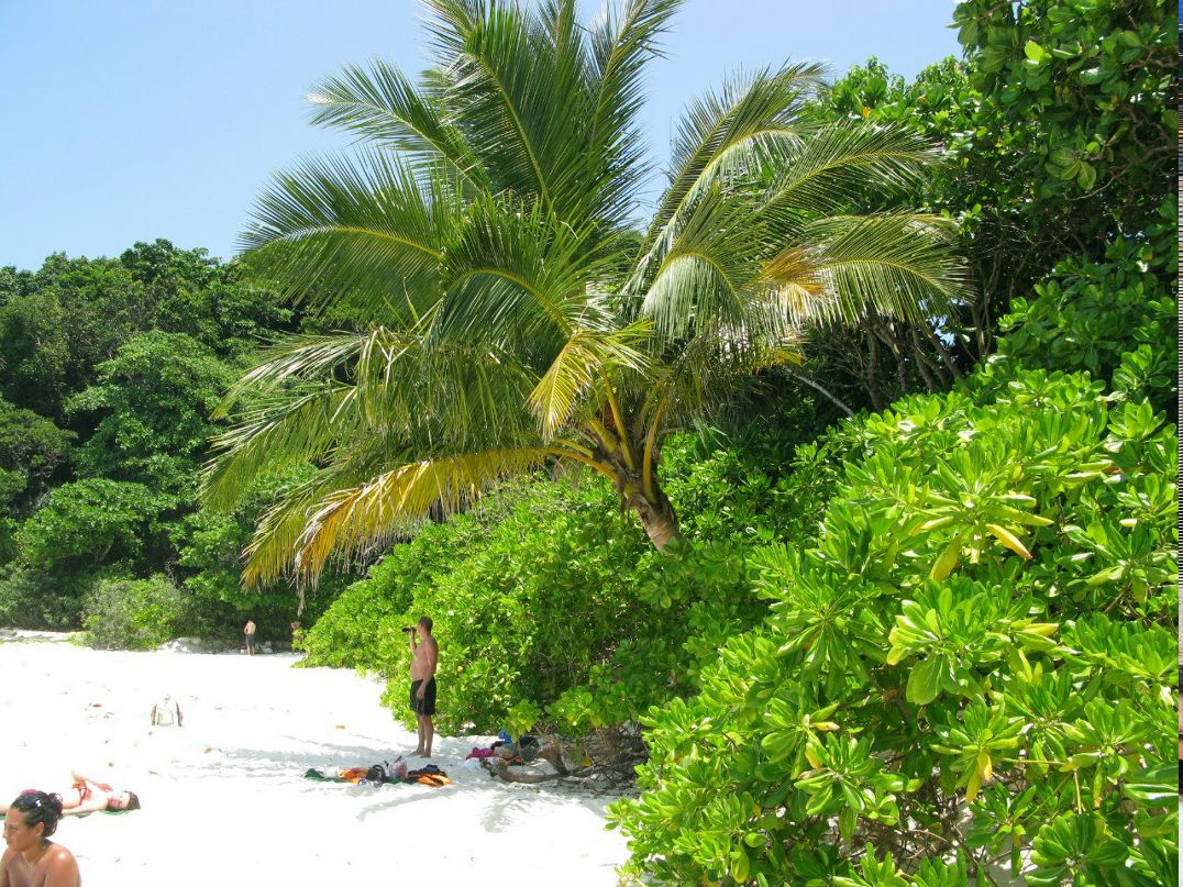 Владимир Лутай | 