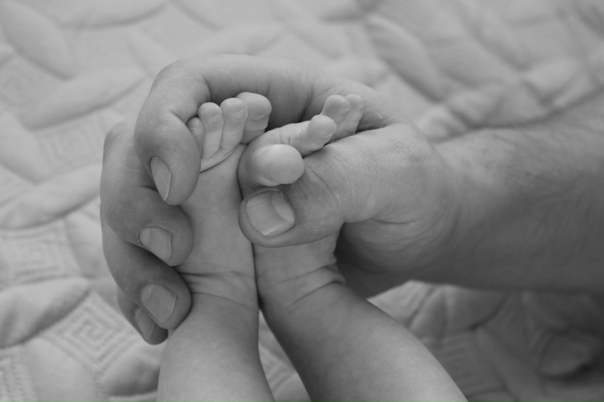 Светлана Холод | Москва