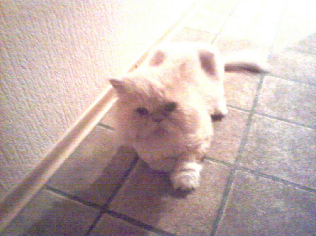 Людмила Щербакова | Санкт-Петербург