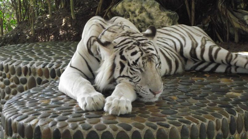 Наташа Корнацкая | Мончегорск