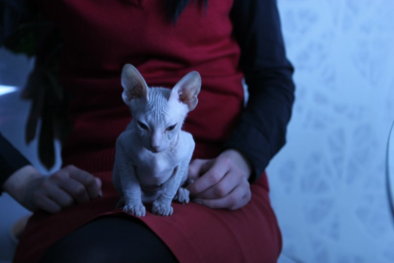 Мария Зотикова | Домодедово