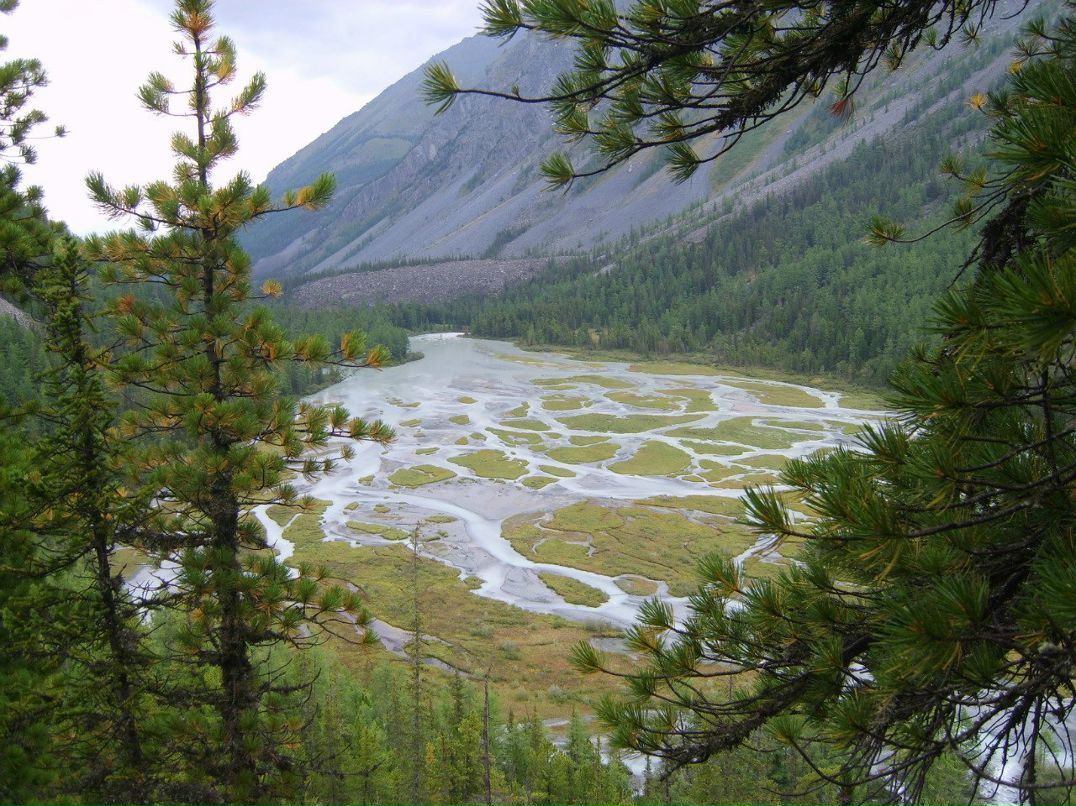 Дмитрий Поляков | 