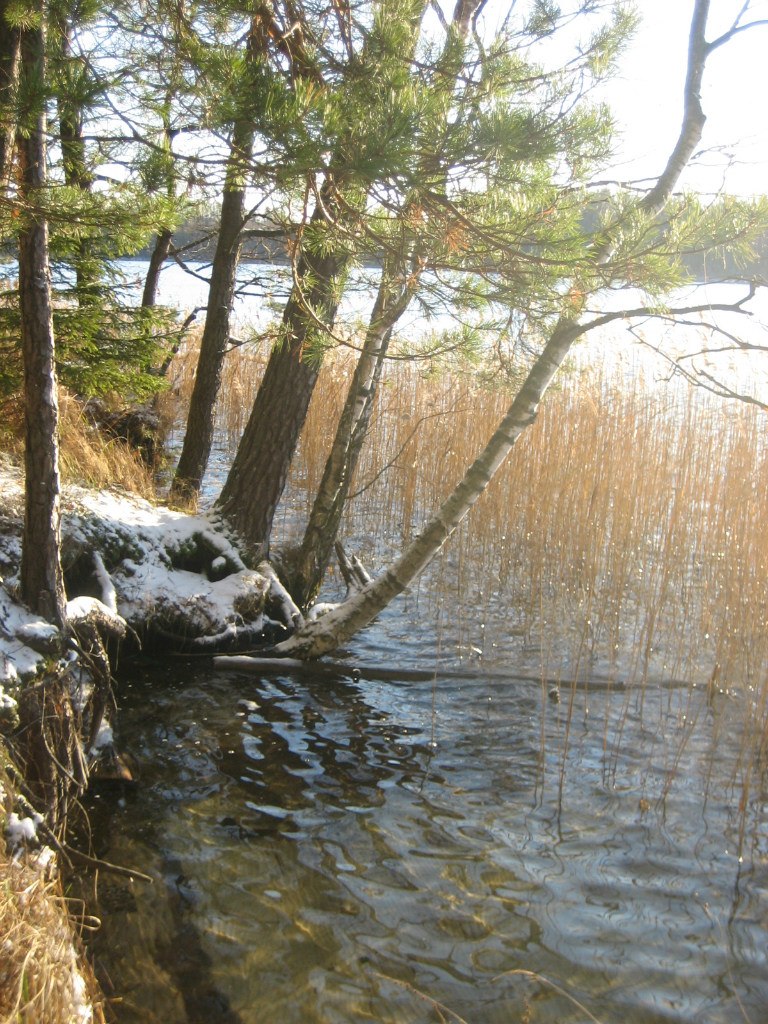 Ольга Верещако | Минск