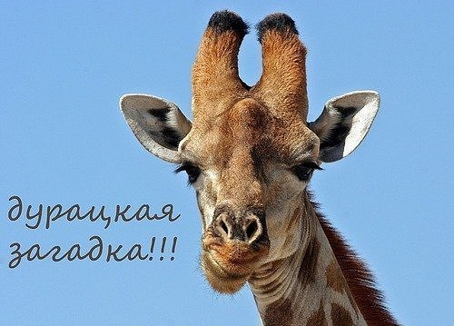 Александр Ефремов | Москва