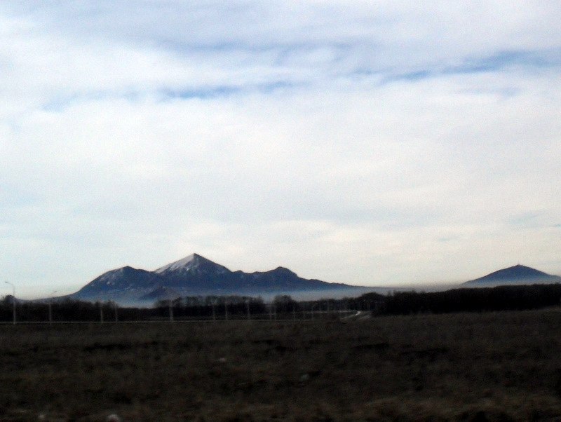 Надежда Немудрякина | Санкт-Петербург