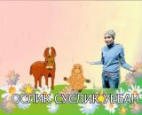 №33 Олег Савченко 15.02.1990: профиль, фото, статус - ВКонтакте