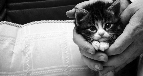 Анастасия Спирина | Москва