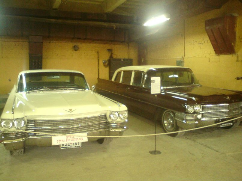 Дмитрий Николаев | Завидово