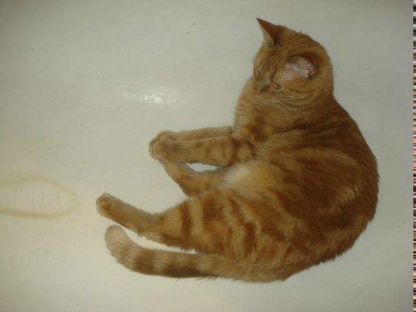 №27, Светлана, Тольятти №27, Светлана, Тольятти