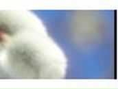 Ильдар Шаехметов | Уфа