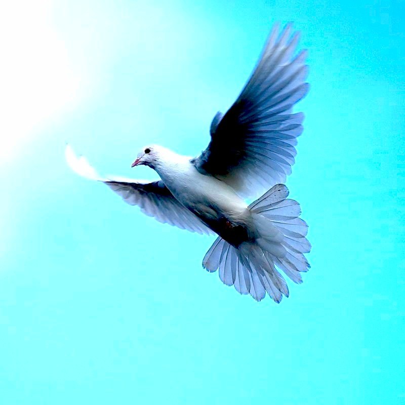 Светлана Бахолдина S.Bツ✈☁ | Ростов-на-Дону