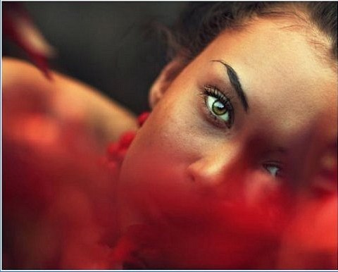 Татьяна Гулай Таньчик@rambler.ru | Днепр (Днепропетровск)