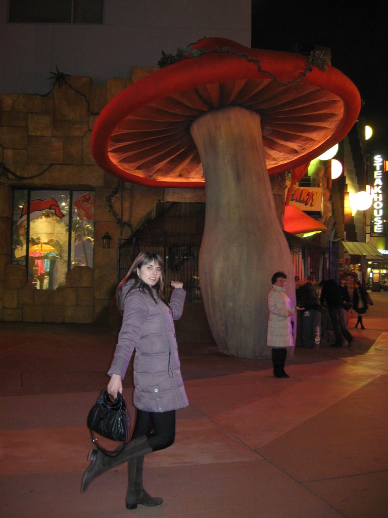 Марина Главацька | Ровно