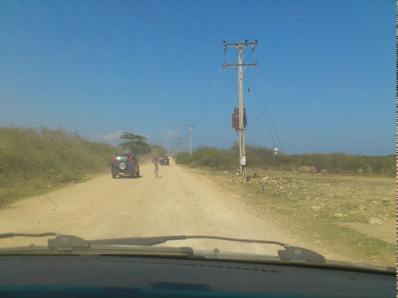 Елена Янакова | Зеленоград