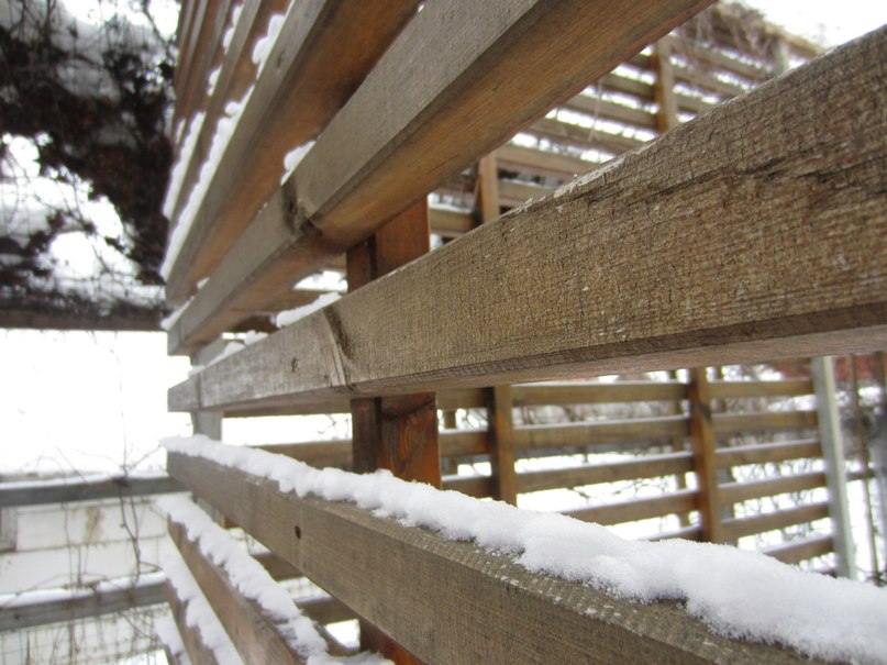 Юлия Мокеева | Москва