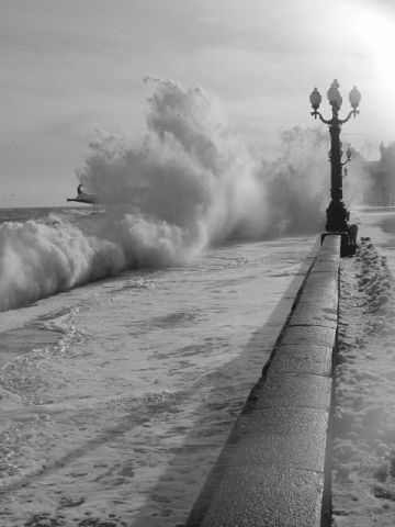 Елисей Бороздин | Ялта