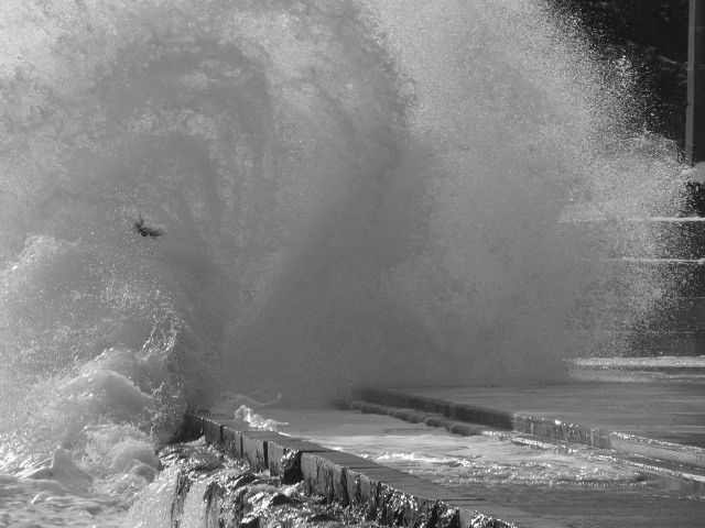 Елисей Бороздин | Ялта