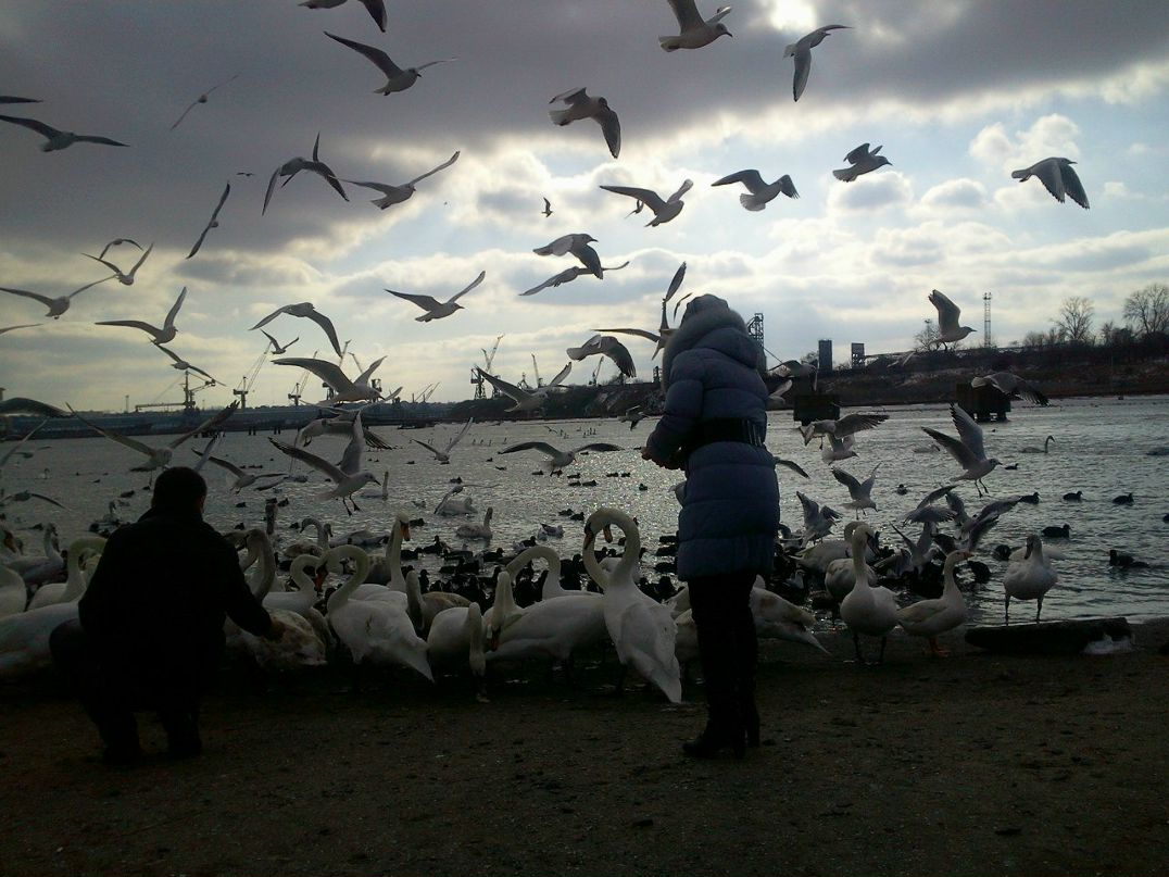 Евгений Чепурняк MEDVEDb | Одесса