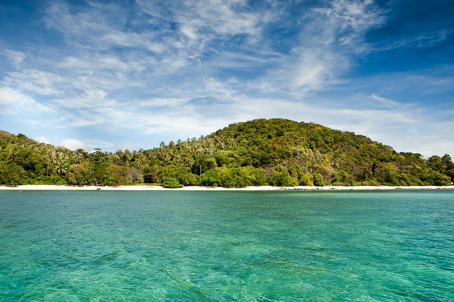 Svetlana Shalberova | Санкт-Петербург