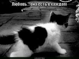 Саша Соболь | Санкт-Петербург