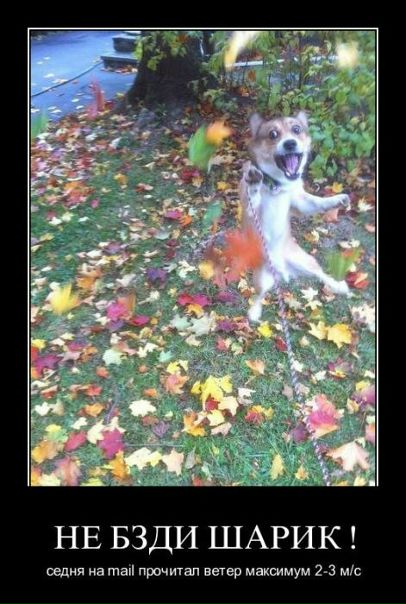 №80, Алексей Тищенкоо, 42 года, Киев №80, Алексей Тищенкоо, 42 года, Киев