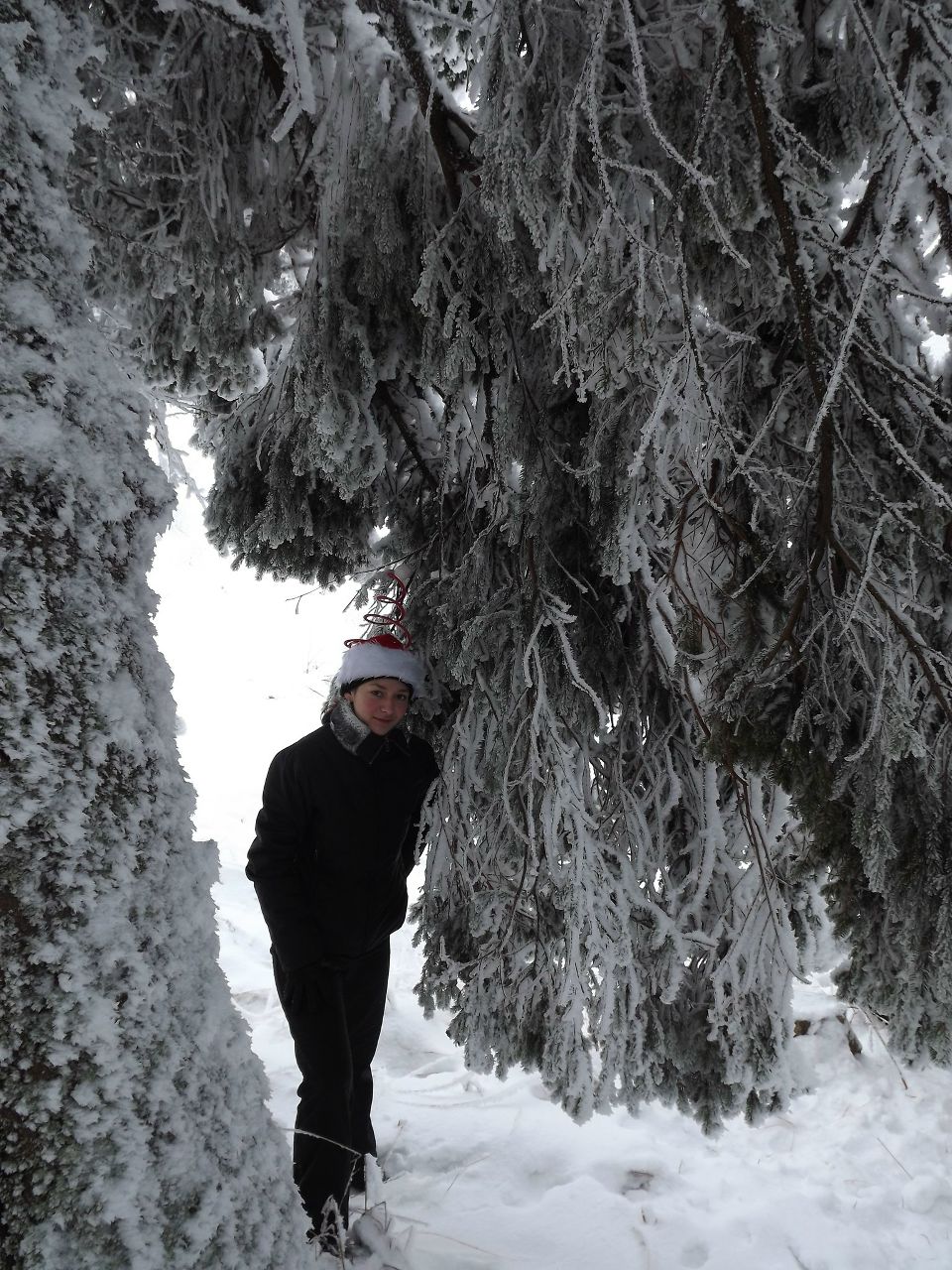 Наталія Добрянська | Львов