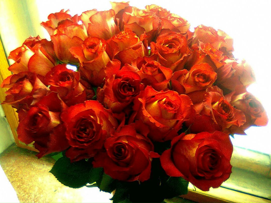 Екатерина Станиславовна | Москва