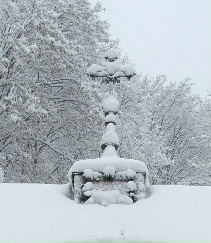 Юлия Кушнир | Киев