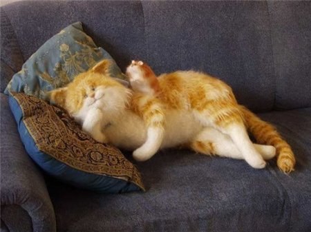 Сергей Самошин | Новокузнецк