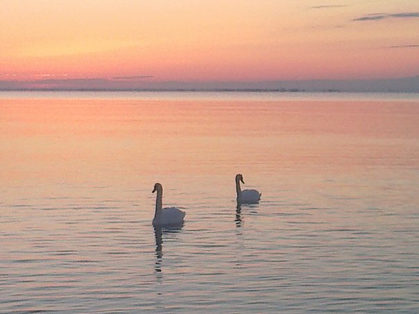 №10, Лёша Воронецкий №10, Лёша Воронецкий