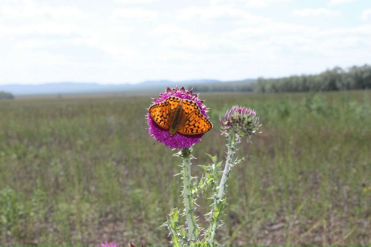 Анастасия Немкова | Владивосток