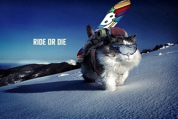 Александр Семелит | Санкт-Петербург