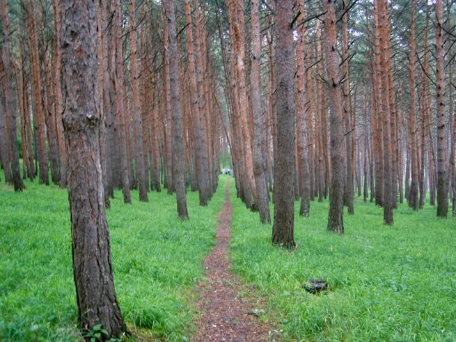 Максим Плавунов | 
