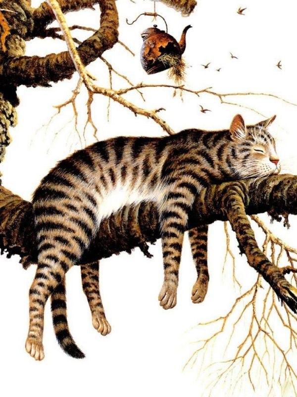 Ира Старенкова | Санкт-Петербург