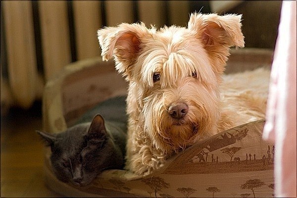 Санечка Прямкова | Москва