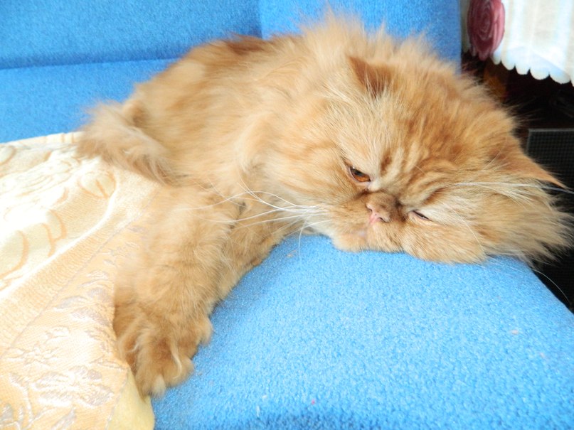 Людмила Ефимова | Великий Новгород