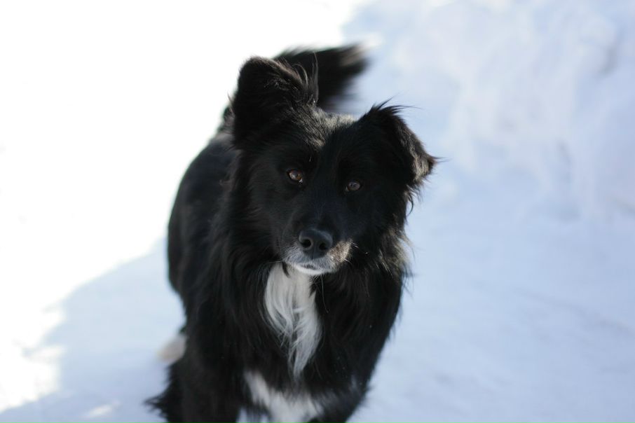 №82, Максим Буренин, 41 год №82, Максим Буренин, 41 год