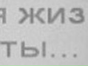 Артем Шутов | Коломна