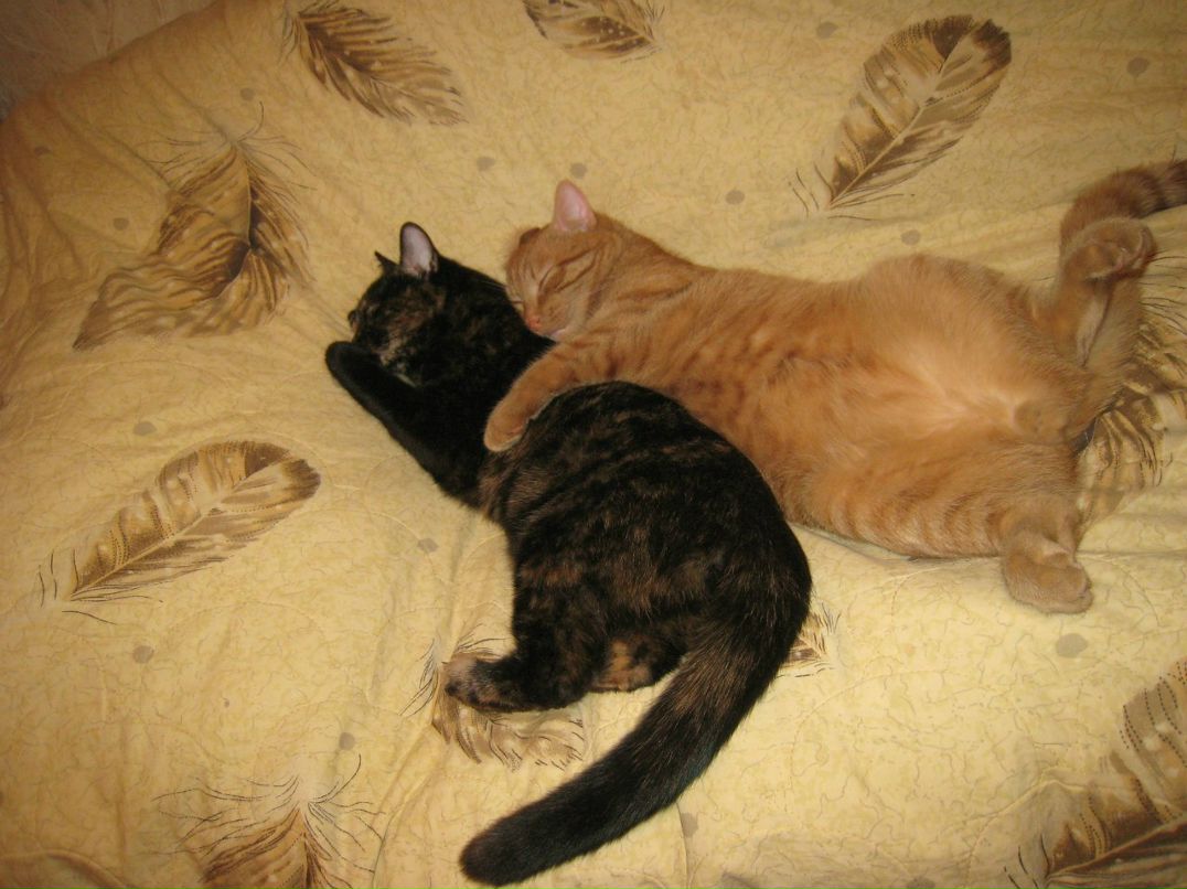 Алёна Пильчевская | Санкт-Петербург