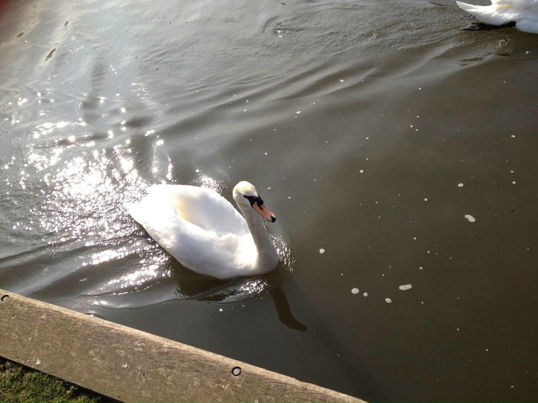Лиза Москалькова | Москва