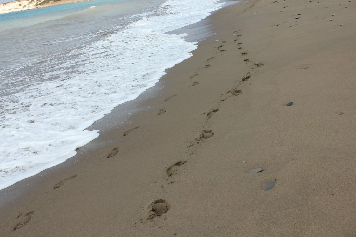 Ирина Андронова ღРадость ღ | Москва