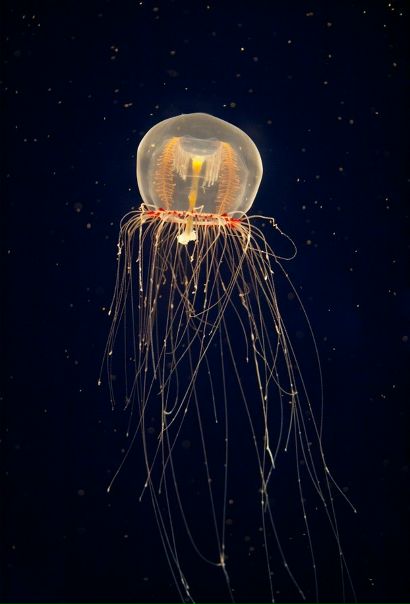 №98, Ксения Гоняева, Санкт-Петербург №98, Ксения Гоняева, Санкт-Петербург