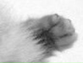 Катерина Котик | Минск