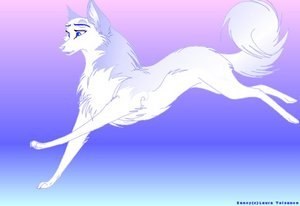 Соня Орлова Степанова | Москва