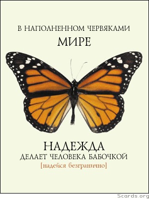 №166, Наталия Мудрак, 04.06.1984, Казатин №166, Наталия Мудрак, 04.06.1984, Казатин