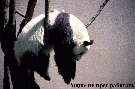 Элеонора Кувардина | Санкт-Петербург