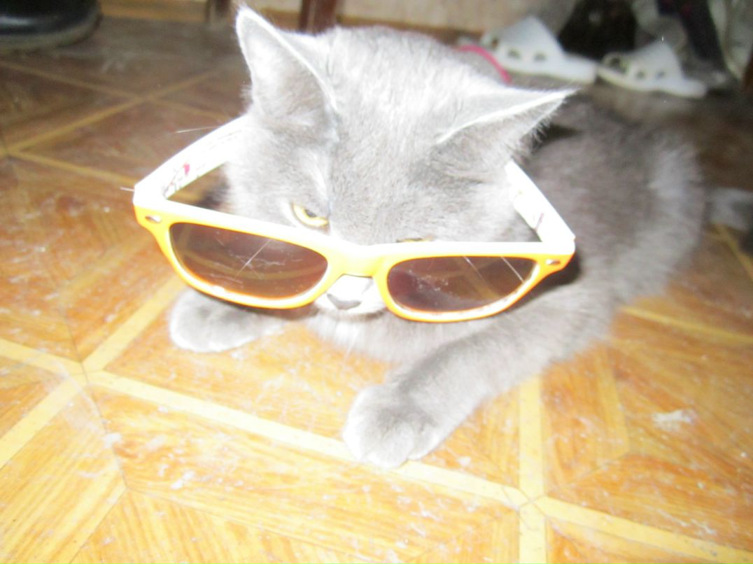 Ирина Казаринова | Екатеринбург