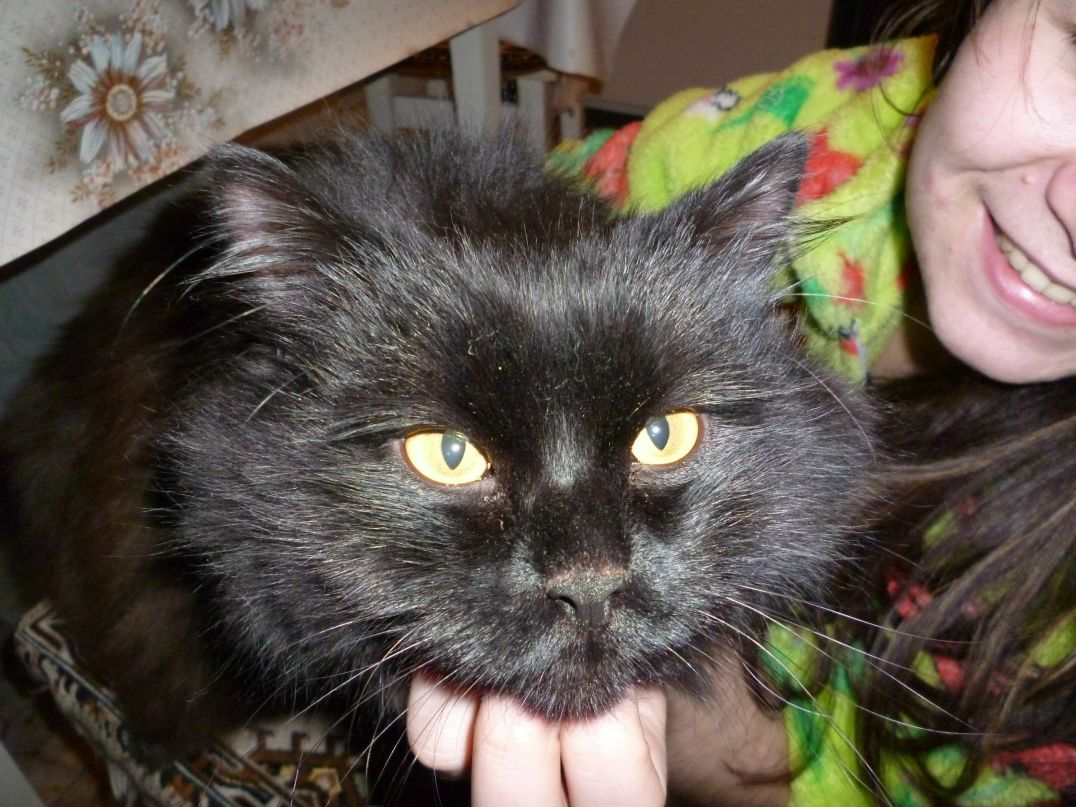 Ольга Сардак ツ | Орск